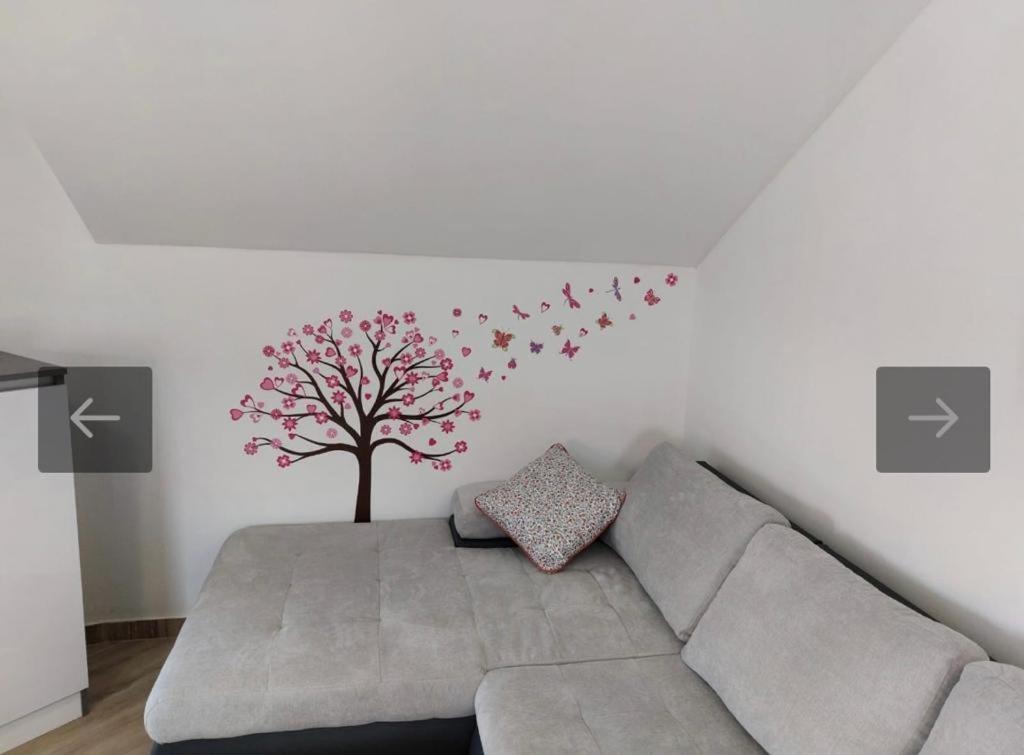 Apartmani Jedro Šilo Extérieur photo